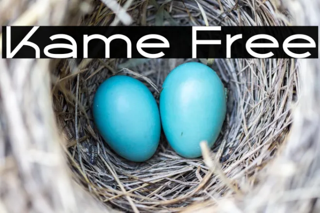 Kame Free Example 3