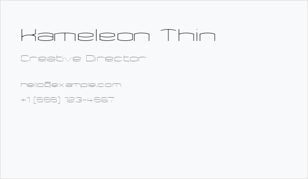 Kameleon Thin Business Card