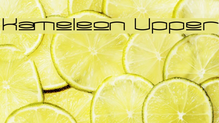 Kameleon Upper Font examples