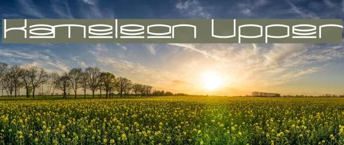 Kameleon Upper Font examples