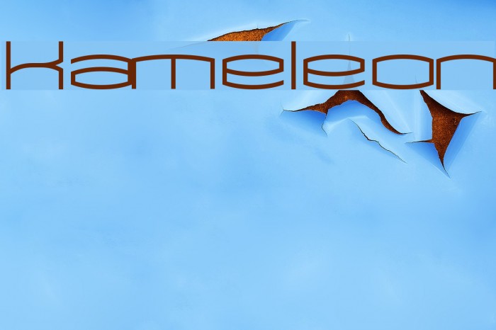 Kameleon Polices examples