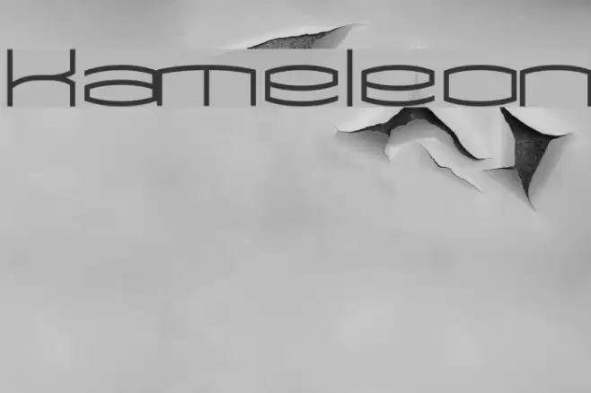 Kameleon Font examples