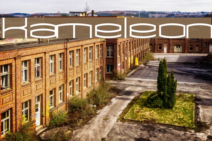 Kameleon Polices examples
