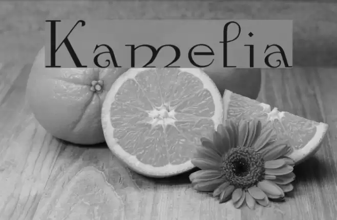 Kamelia Font examples
