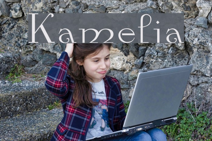 Kamelia Font examples