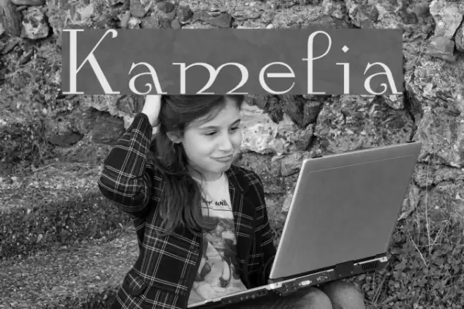 Kamelia Font examples