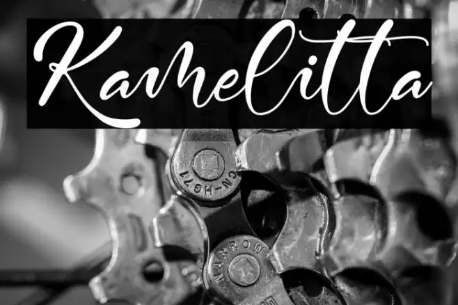 Kamelitta Font examples