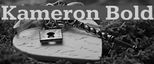 Kameron Bold Font examples
