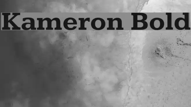 Kameron Bold Font examples