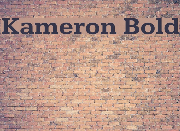 Kameron Bold Font examples
