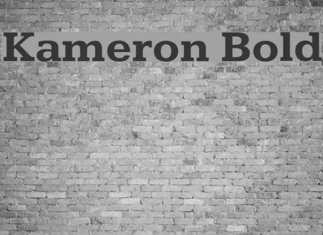 Kameron Bold Font examples