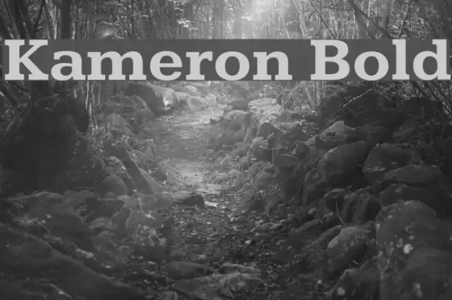 Kameron Bold Font examples