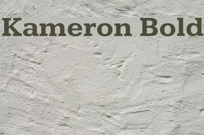 Kameron Bold Font examples