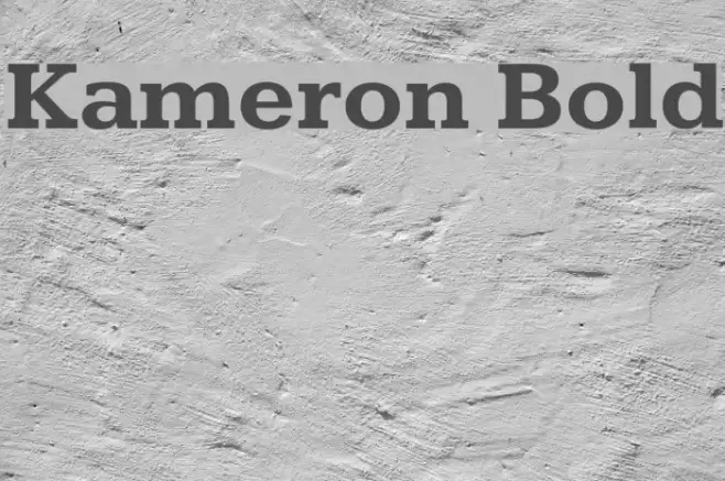 Kameron Bold Font examples