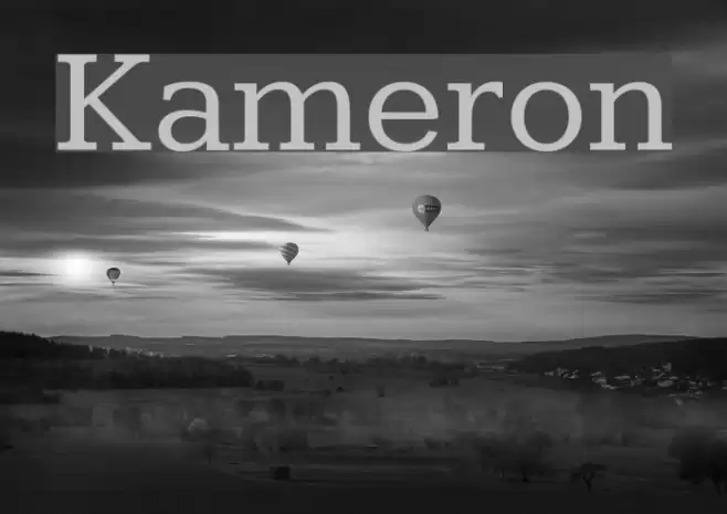 Kameron Font examples