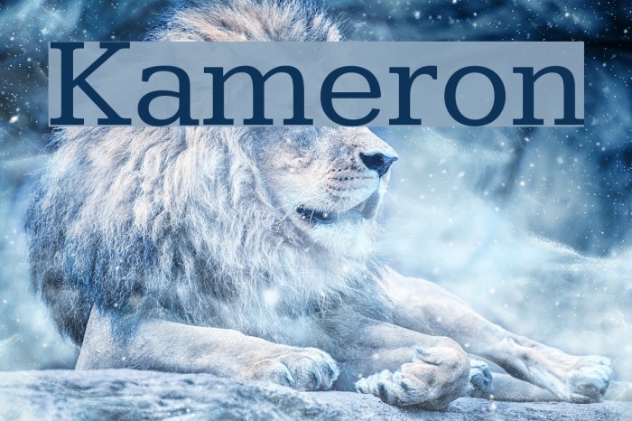 Kameron Font examples