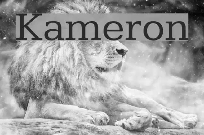 Kameron Font examples