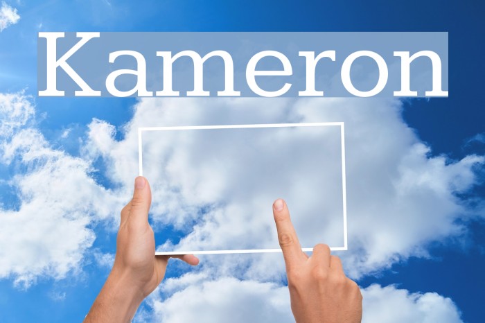 Kameron Font examples