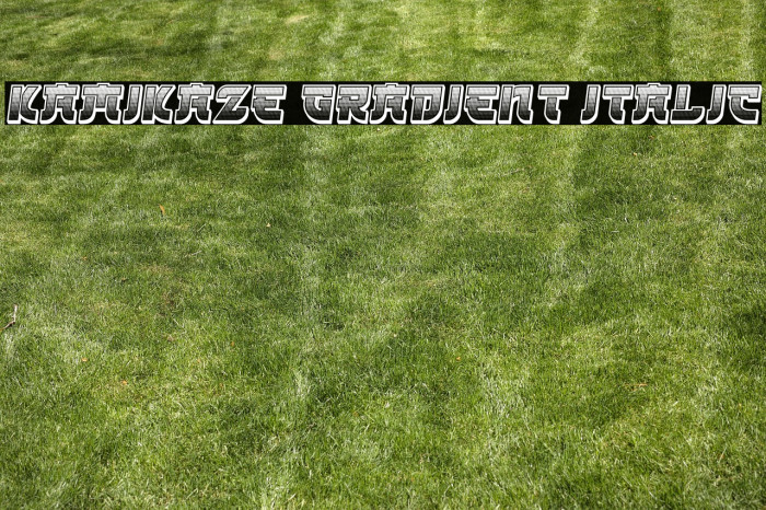Kamikaze Gradient Italic Example 3