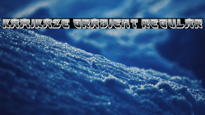 Kamikaze Gradient Regular Example 2