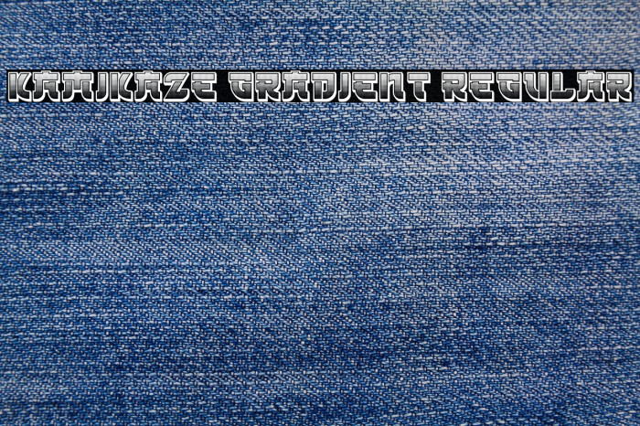 Kamikaze Gradient Regular Example 3