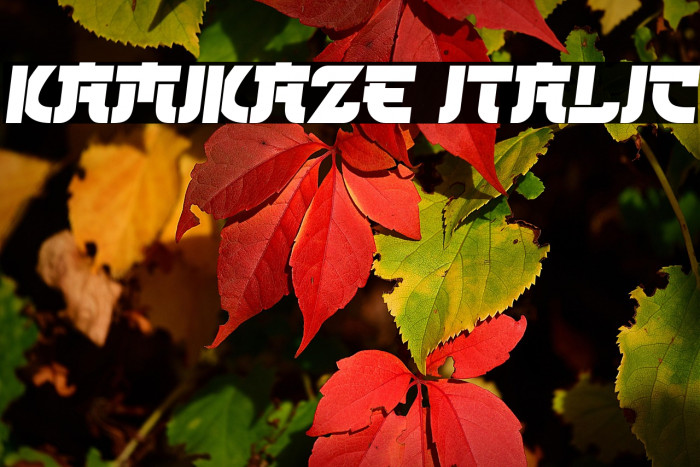 Kamikaze Italic Example 3