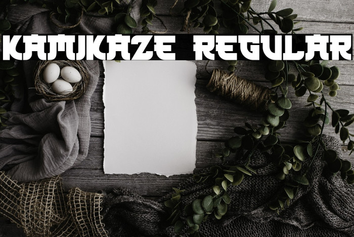 Kamikaze Regular Example 2