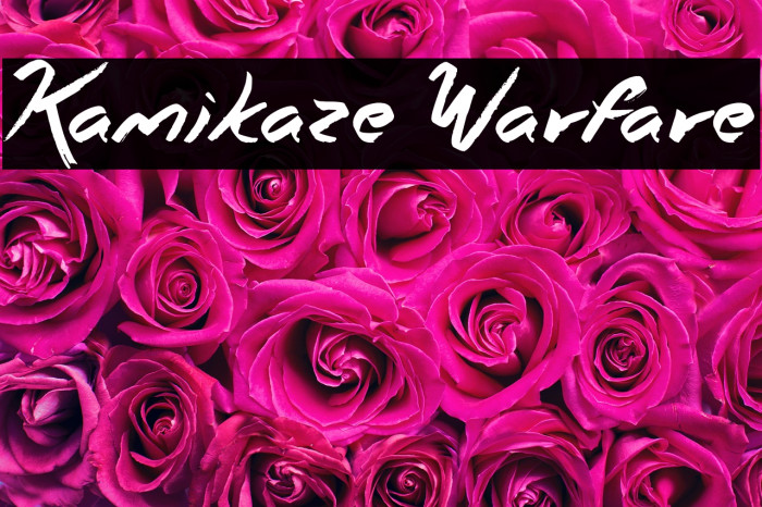 Kamikaze Warfare Example 1