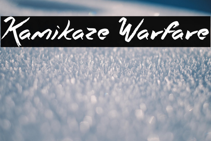 Kamikaze Warfare Example 2