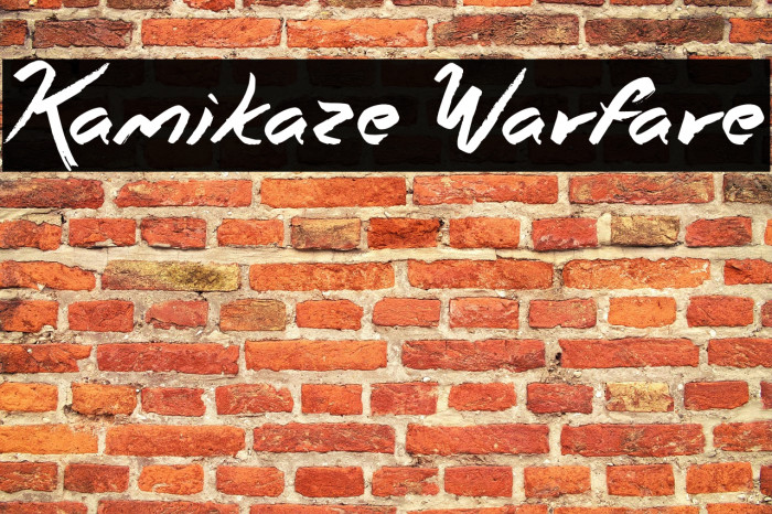 Kamikaze Warfare Example 3
