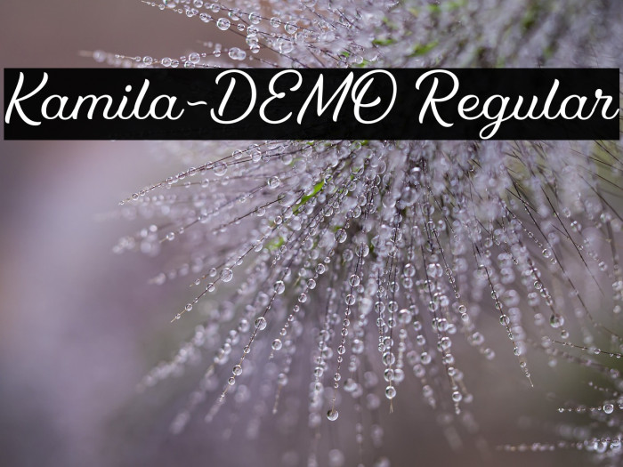 Kamila-DEMO Regular Example 3
