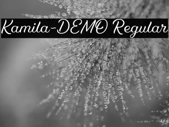 Kamila-DEMO Regular Font examples