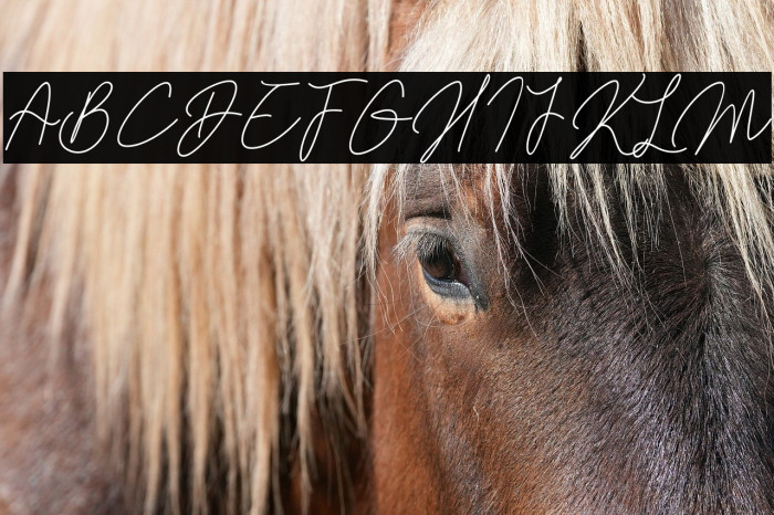 Kamila Signature Example 2