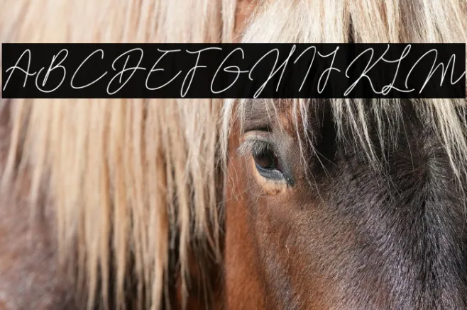 Kamila Signature Example 2