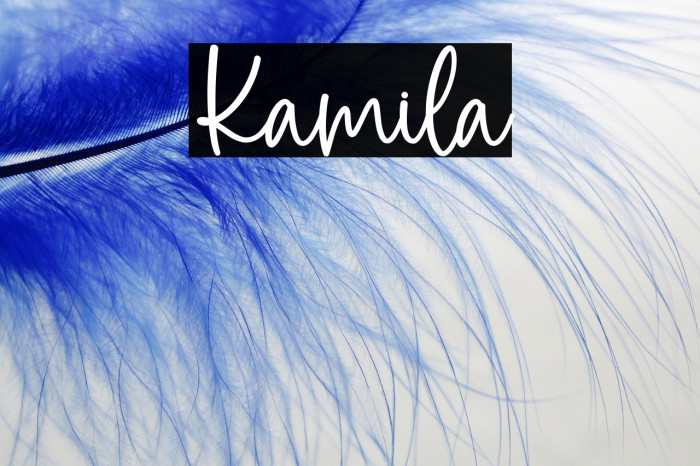 Kamila Example 1