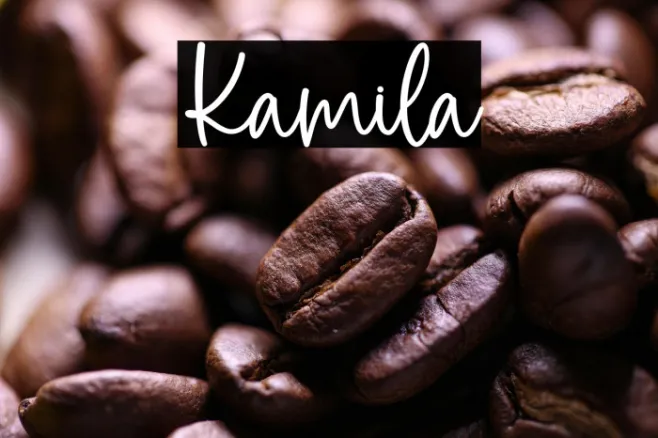 Kamila Example 2