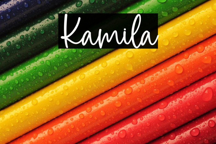 Kamila Example 3