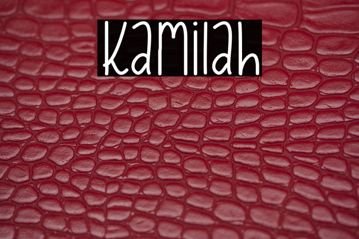 Kamilah Example 1