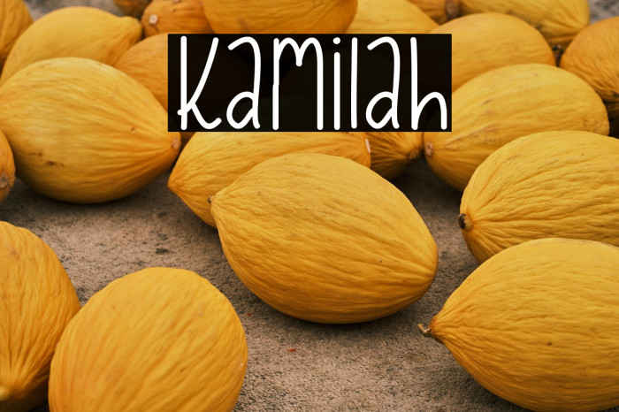 Kamilah Example 3