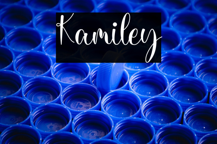Kamiley Example 1