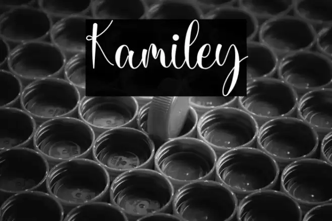 Kamiley Font examples