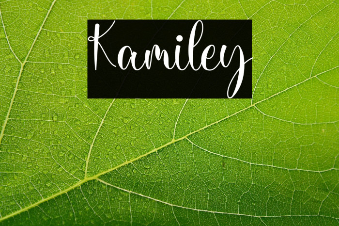 Kamiley Example 2