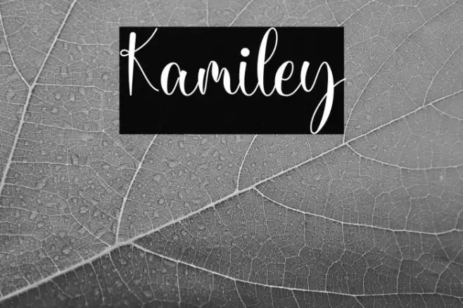 Kamiley Font examples