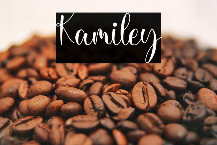 Kamiley Example 3
