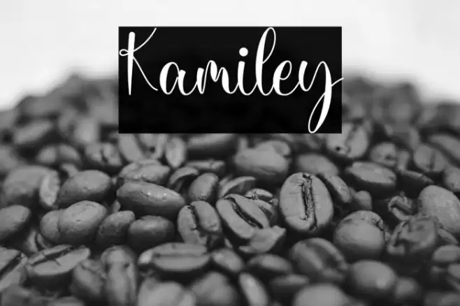Kamiley Font examples
