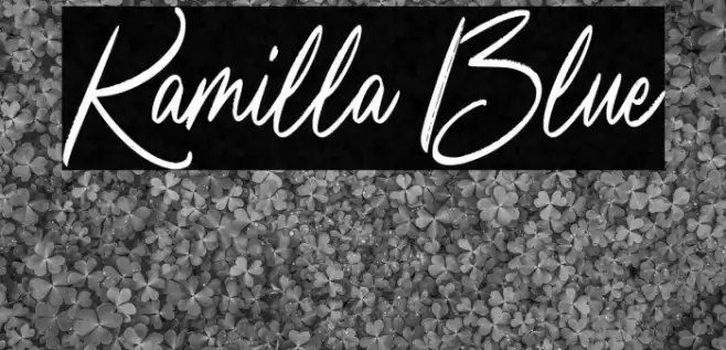 Kamilla Blue Font examples