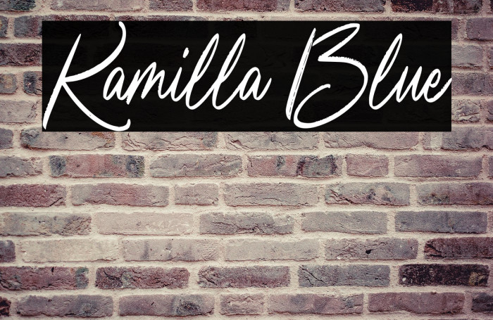 Kamilla Blue Example 2