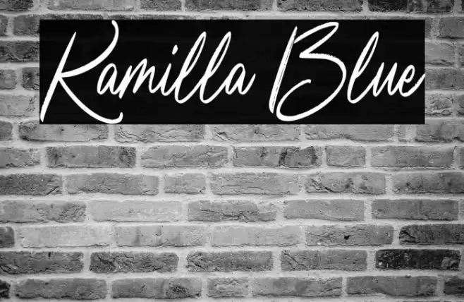 Kamilla Blue Font examples