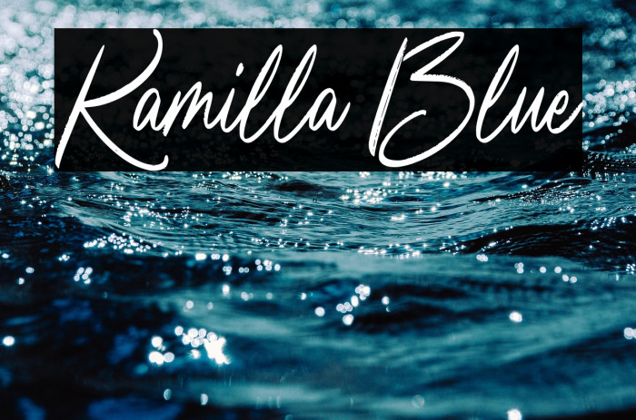 Kamilla Blue Example 3
