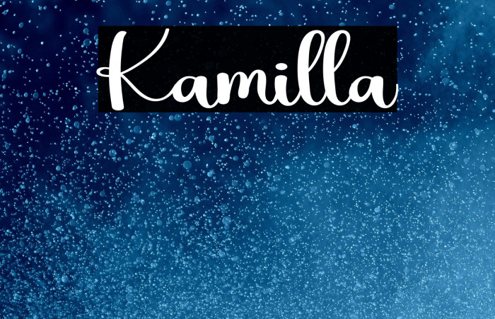Kamilla Example 1